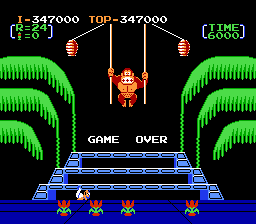 Donkey Kong 3 -  - User Screenshot